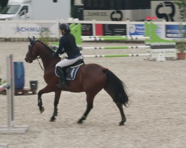 Reitturnier Babenhausen/Schw. 2025