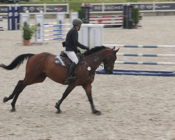 Reitturnier Babenhausen/Schw. 2025