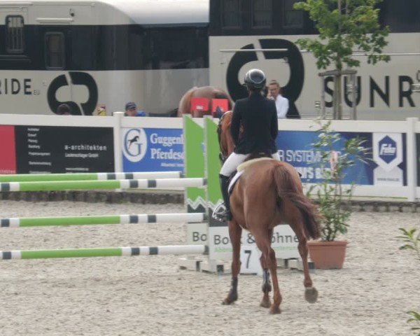 Reitturnier Babenhausen/Schw. 2025