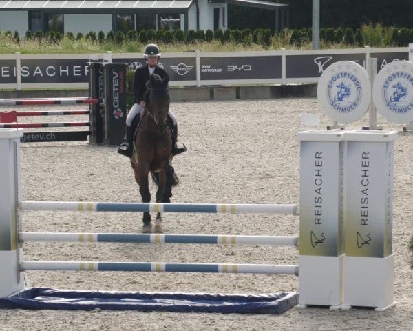Reitturnier Babenhausen/Schw. 2025