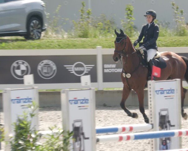 Reitturnier Babenhausen/Schw. 2025