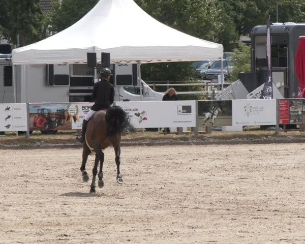 Reitturnier Langenfeld 2025