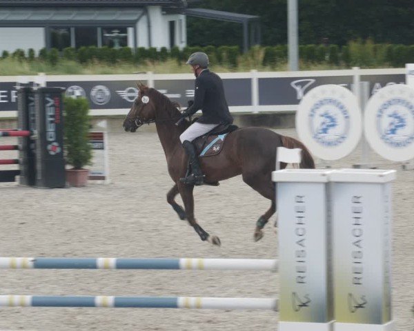 Reitturnier Babenhausen/Schw. 2025