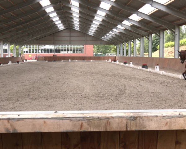Reitturnier Langenfeld 2025
