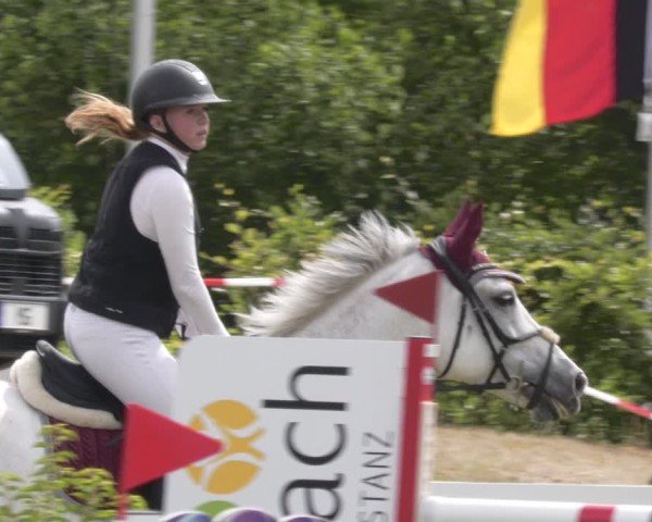 Reitturnier Aach 2025