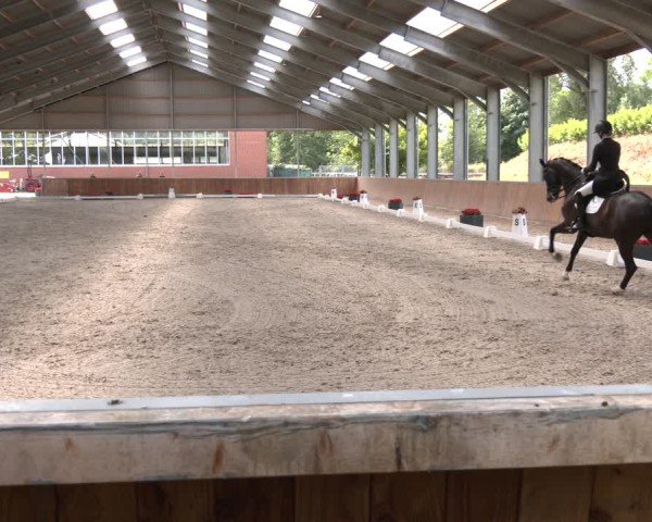 Reitturnier Langenfeld 2025