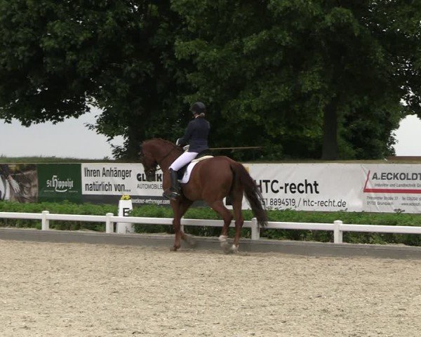 Reitturnier Dresden Gompitz 2025