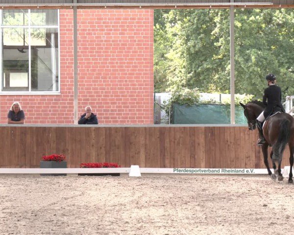 Reitturnier Langenfeld 2025