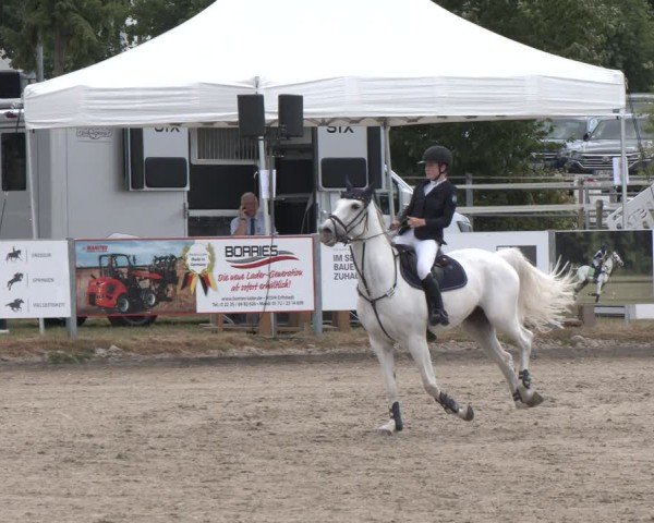 Reitturnier Langenfeld 2025