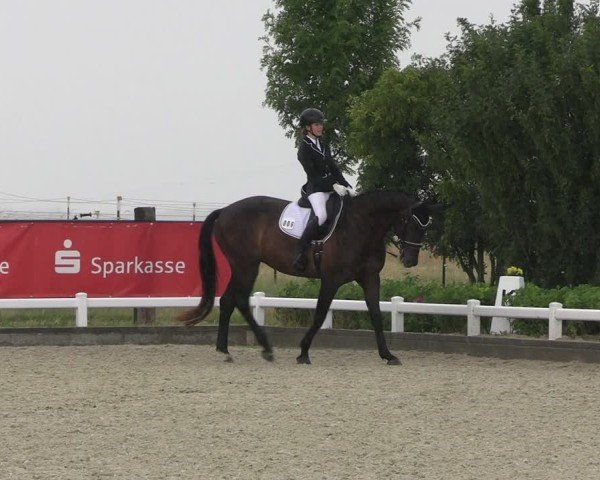 Reitturnier Dresden Gompitz 2025