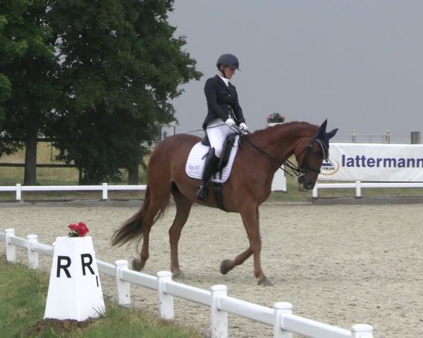 Reitturnier Dresden Gompitz 2025