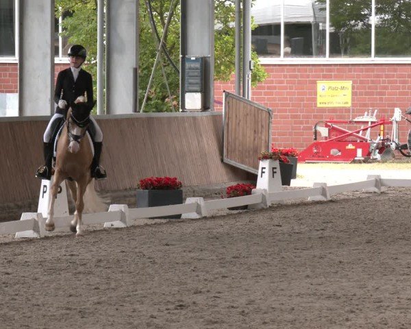 Reitturnier Langenfeld 2025