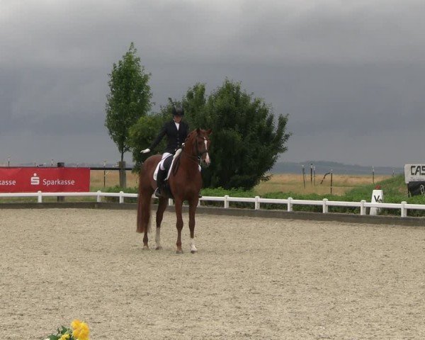 Reitturnier Dresden Gompitz 2025