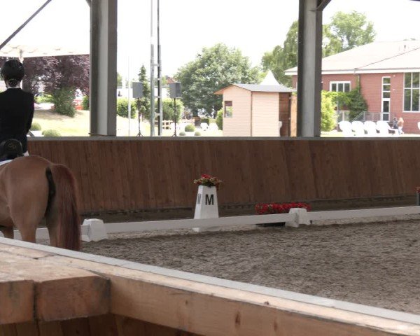 Reitturnier Langenfeld 2025