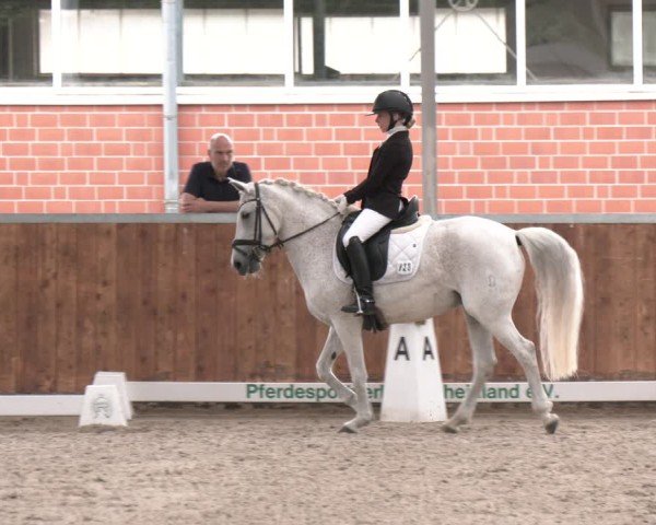 Reitturnier Langenfeld 2025