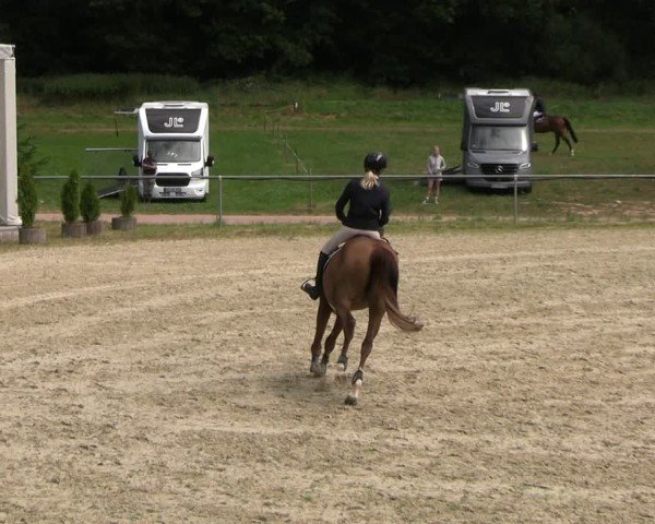 Reitturnier Bad Liebenstein/Sorga 2025