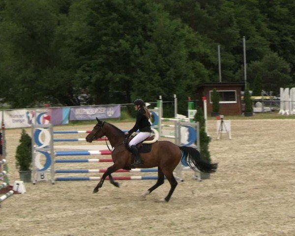 Reitturnier Bad Liebenstein/Sorga 2025