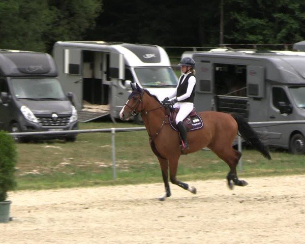Reitturnier Bad Liebenstein/Sorga 2025