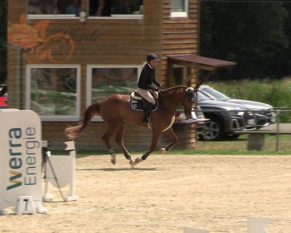Reitturnier Bad Liebenstein/Sorga 2025