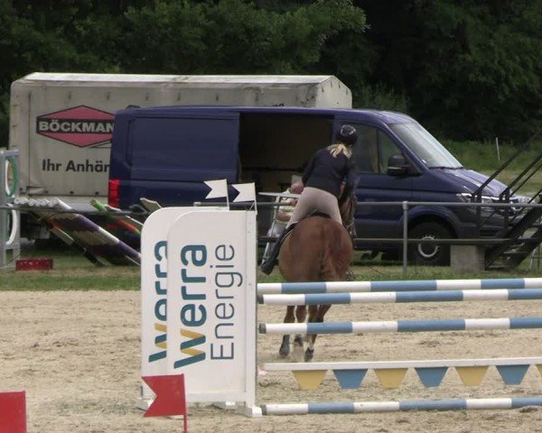 Reitturnier Bad Liebenstein/Sorga 2025