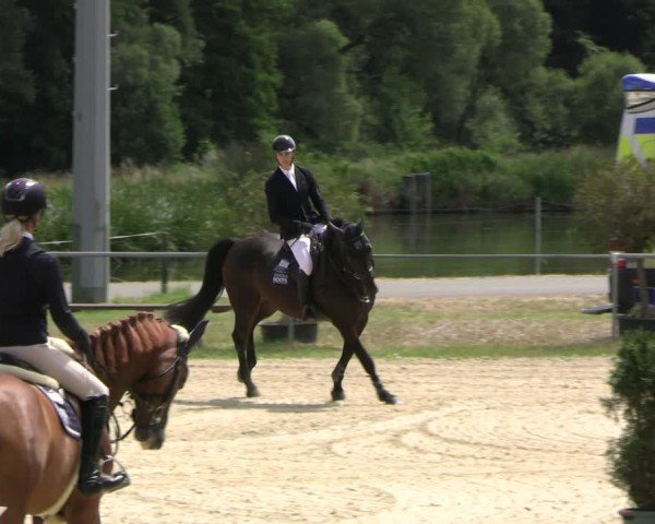 Reitturnier Bad Liebenstein/Sorga 2025