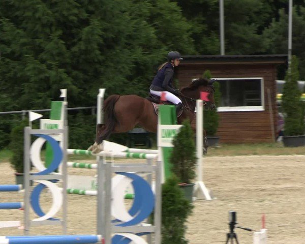 Reitturnier Bad Liebenstein/Sorga 2025