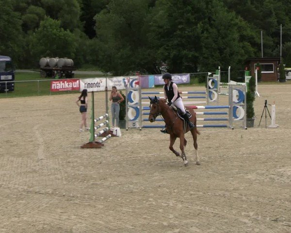 Reitturnier Bad Liebenstein/Sorga 2025