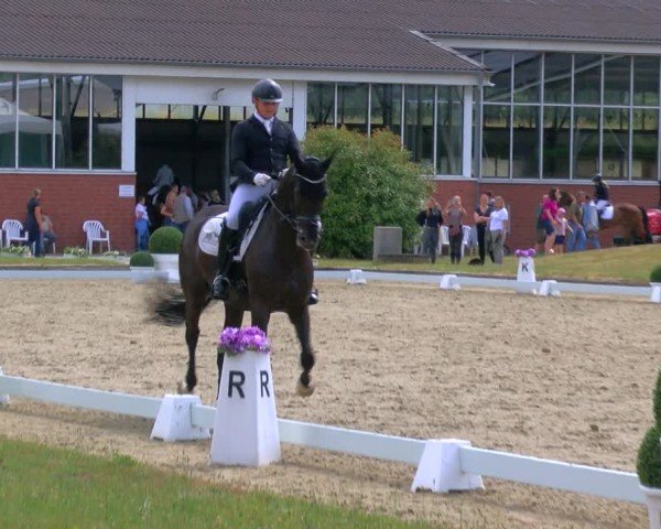 Reitturnier Langenfeld 2025