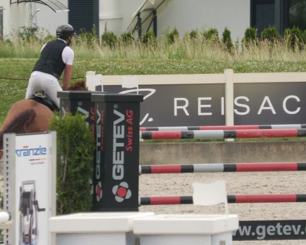 Reitturnier Babenhausen/Schw. 2025