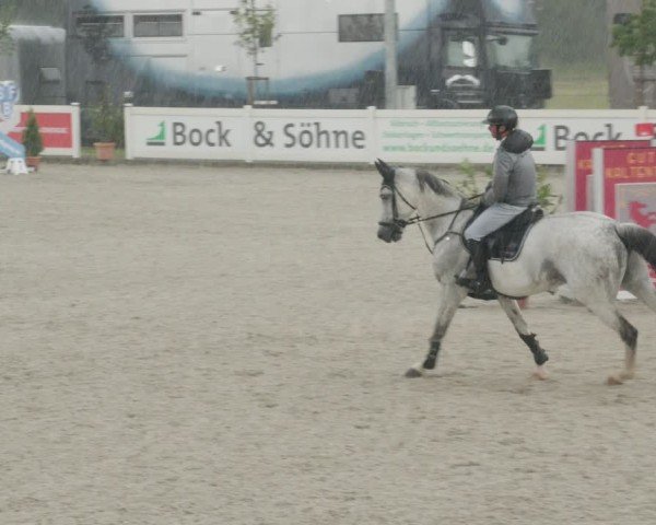 Reitturnier Babenhausen/Schw. 2025