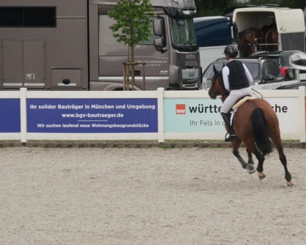 Reitturnier Babenhausen/Schw. 2025