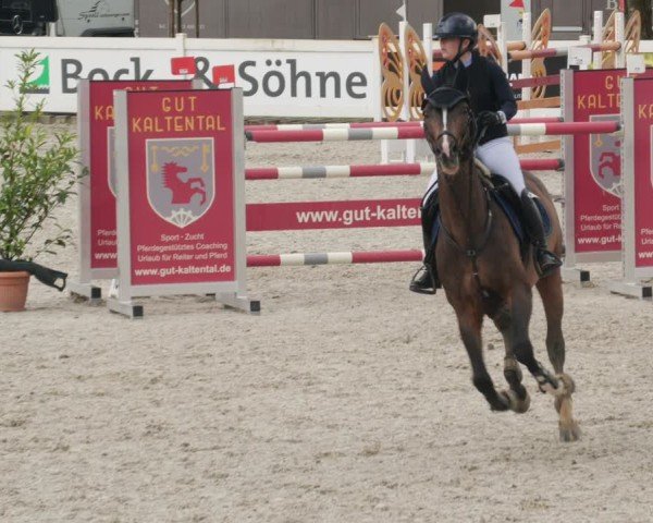 Reitturnier Babenhausen/Schw. 2025