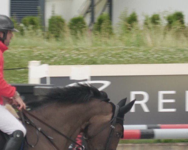 Reitturnier Babenhausen/Schw. 2025