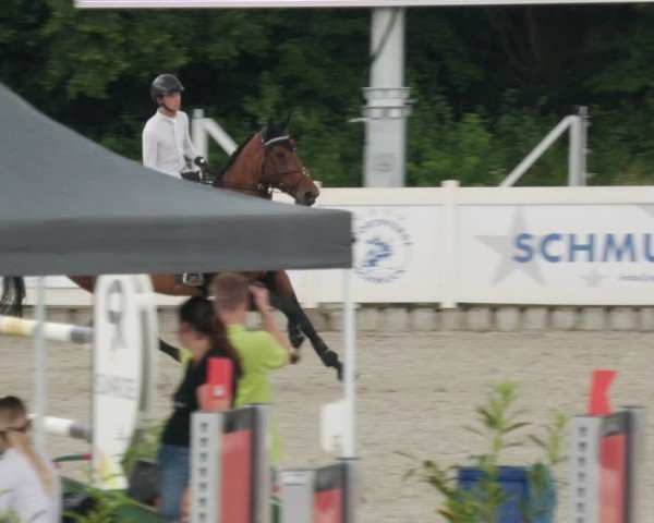 Reitturnier Babenhausen/Schw. 2025