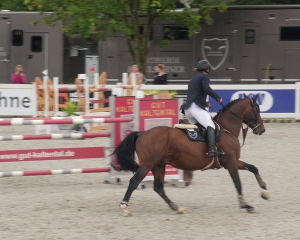 Reitturnier Babenhausen/Schw. 2025