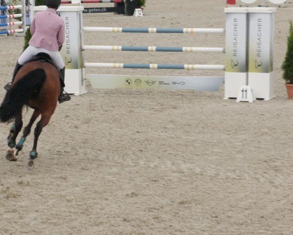 Reitturnier Babenhausen/Schw. 2025
