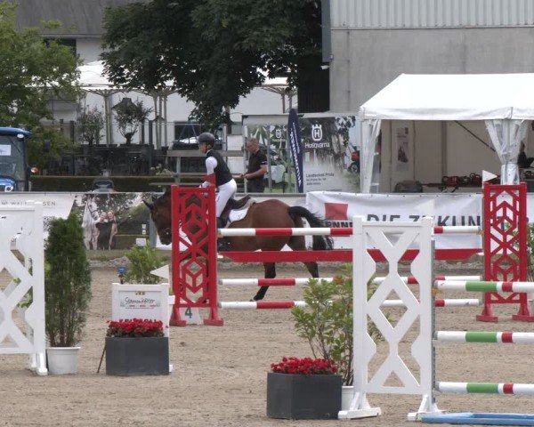 Reitturnier Langenfeld 2025