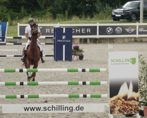 Reitturnier Babenhausen/Schw. 2025