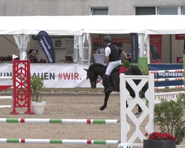 Reitturnier Langenfeld 2025