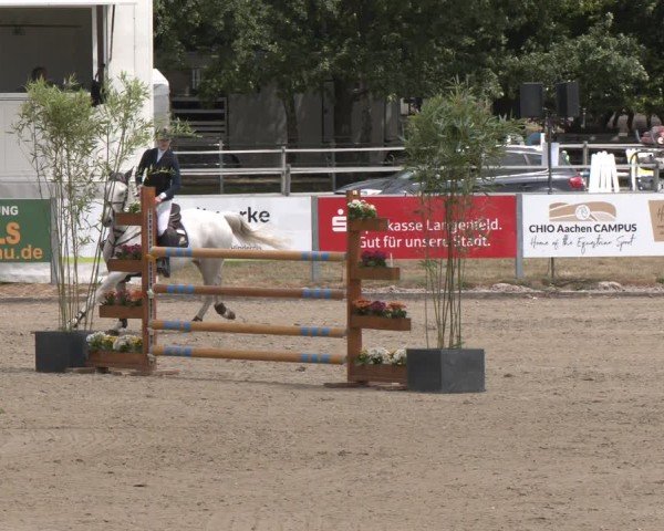 Reitturnier Langenfeld 2025