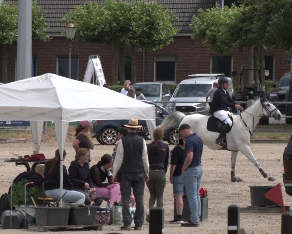 Reitturnier Langenfeld 2025