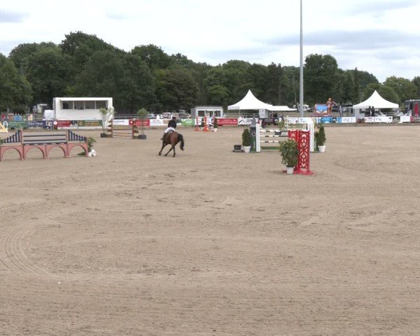 Reitturnier Langenfeld 2025