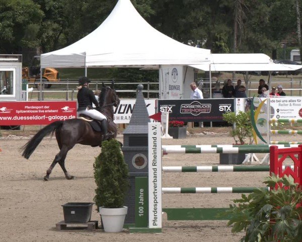 Reitturnier Langenfeld 2025