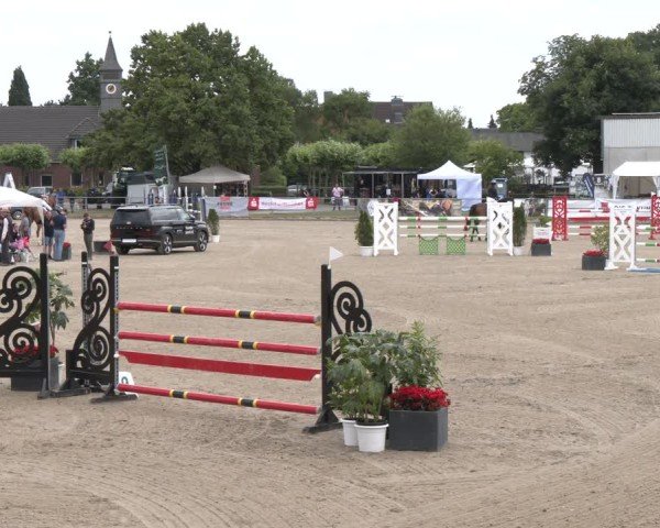 Reitturnier Langenfeld 2025