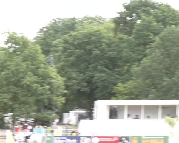 Reitturnier Langenfeld 2025