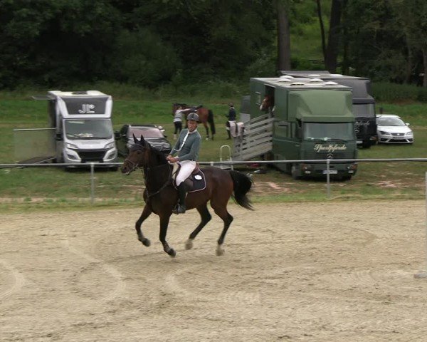 Reitturnier Bad Liebenstein/Sorga 2025