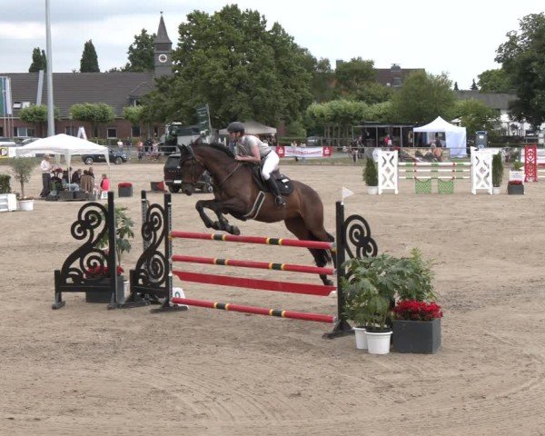 Reitturnier Langenfeld 2025