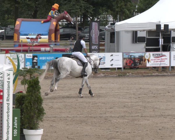Reitturnier Langenfeld 2025