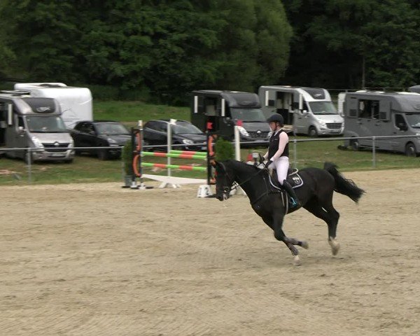 Reitturnier Bad Liebenstein/Sorga 2025