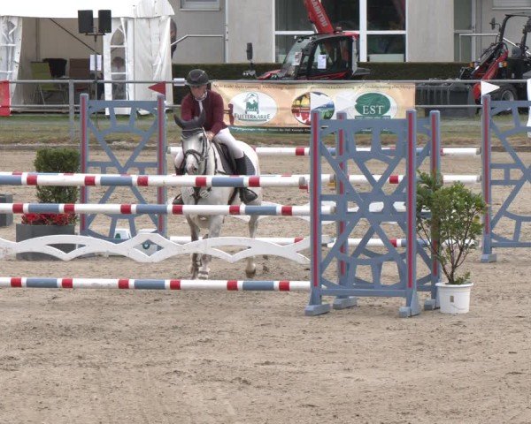 Reitturnier Langenfeld 2025